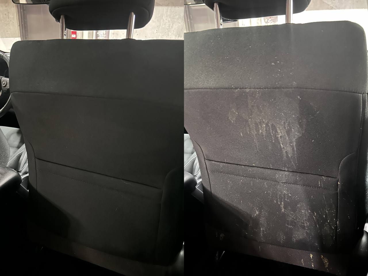 Seat deep shampoo before and after result
